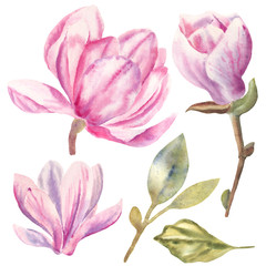 Hand drawn watercolor set of blooming magnolia and green leaves. Perfect for creating cards, invitations, wedding design..