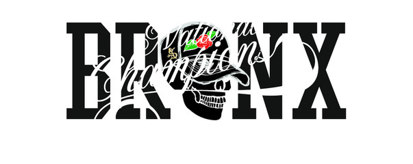 American college style Bronx skull print and embroidery graphic designs vector art