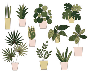 Vector home plants in the pots set. Can be used as print, postcard, invitation, packaging design, element design, template, stickers and so on.
