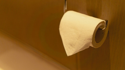 toilet paper in the bathroom