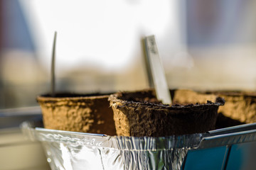 biodegradable seed pots under natural light with new plants next to window ready for new season home gardening