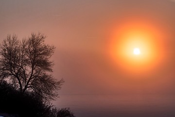 Fototapeta na wymiar Sunrise Through the Mist
