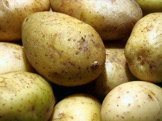 Fresh potato tubers, close-up. Natural products, healthy food concept.