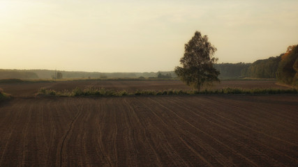 Autumn field in the evening