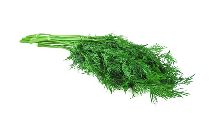 Freshly cropped green dill bunch isolated on white background. Healthy fresh herbs closeup. 
