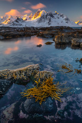 Soft tones of the golden hour in mountains at the coast of Vareid, Lofoten, Norway
 - obrazy, fototapety, plakaty