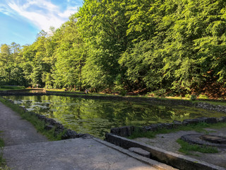 Fototapeta na wymiar Pond in the park Pogulianka