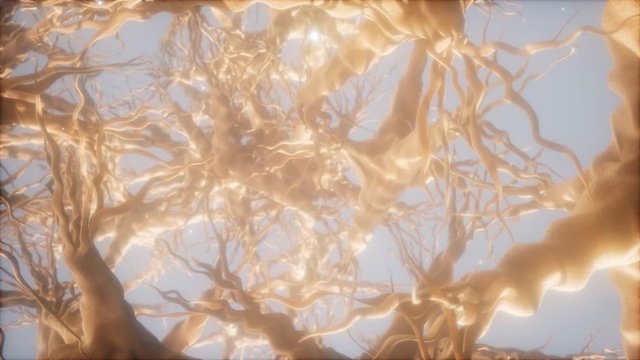 Journey through a neuron cell network inside the brain