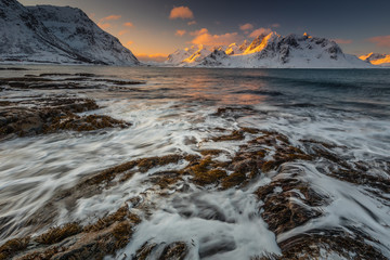 Fototapety na wymiar - Fototapeta24.pl