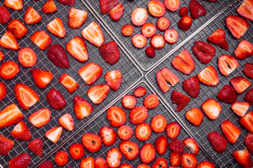 sliced strawberries in dehydrator trays