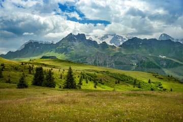 A green meadow in Arabba in summer season, Dolomites, Italy