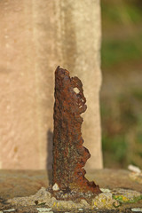 Rost