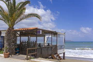 Closed tropical beach hut or restaurant with palm tree near. Concept of touristic crysis or low...