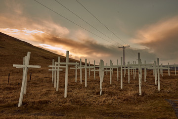 Fototapeta premium Horse graveyard, Iceland 