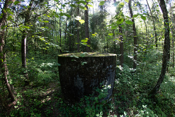 protective structure in the middle of the forest