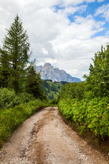 Fototapeta premium dirt road in the Dolomites in summer