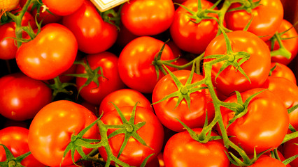 Red fresh tomatoes at market