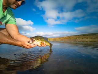 Big Bass Large mouth - Fishing on lake