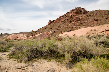 A dry wash and volcanic mountain with pink tuft and creosote in the Mojave desert of California. 