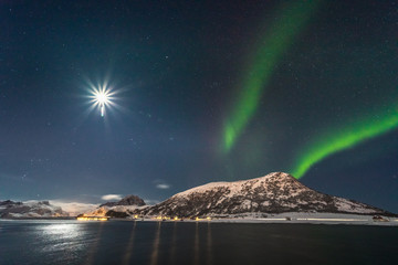Amazing Aurora Borealis  during a cold arctic night on Lofoten Islands archipelago in winter, Norway, Scandinavia © PawelUchorczak