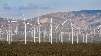 A wind farm in the high desert of California.  These farms generate much of the renewable power in...