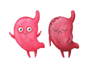 Stomach. Healthy and diseased organs. Anatomical characters in children's style. Set of watercolor illustrations isolated on a white background.Stock image. The digestive system of the human body