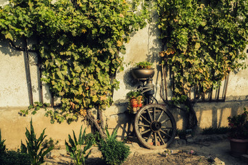 Countryside © Michal