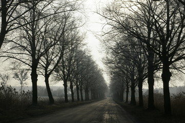 Fototapeta premium Shadow and highlight