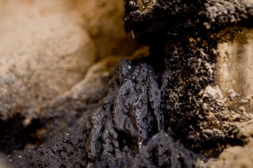 Usine pour la fabrication de granule pour les poeles a bois