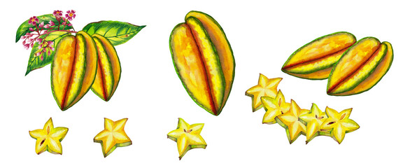 Fototapeta premium Big set of realistic carambola. Colorful whole starfruits in branch with leaves and flowers, single and slices. Watercolor hand painted isolated elements on white background.