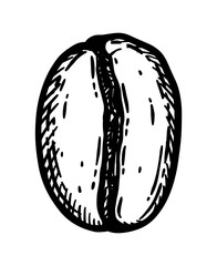 Roasted coffee bean, caffeine symbol isolated