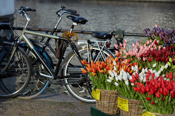 Fototapeta na wymiar Tulip market and bikes in Amsterdam