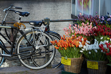 Fototapeta na wymiar Tulip market and bikes in Amsterdam