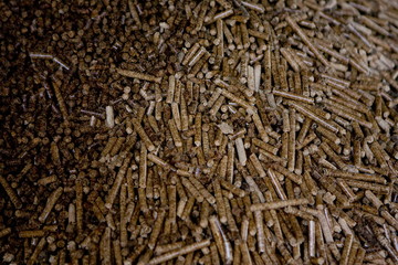 Usine pour la fabrication de granule pour les poeles a bois