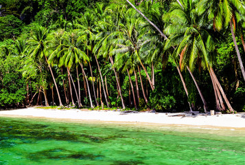 beautiful landscape of tropical nature in the Philippines