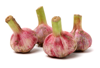 Obraz premium Fresh young garlic isolated on white background