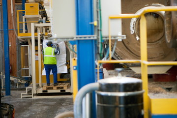 Usine pour la fabrication de granule pour les poeles a bois