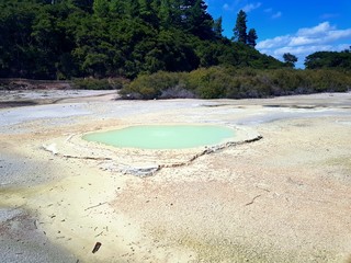Volcanic thermal pool, New Zealand