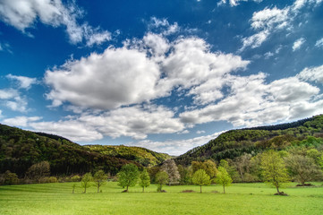 fresh green spring landscape with clouds and blue sky