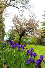 Bergamo, Italy - Villa Moroni italian garden details during spring