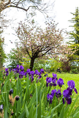 Bergamo, Italy - Villa Moroni italian garden details during spring