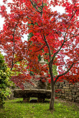 Bergamo, Italy - Villa Moroni italian garden details during spring