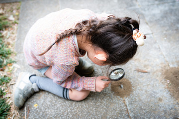 虫眼鏡で蟻の巣を観察する女の子