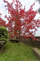 Bergamo, Italy - Villa Moroni italian garden details during spring