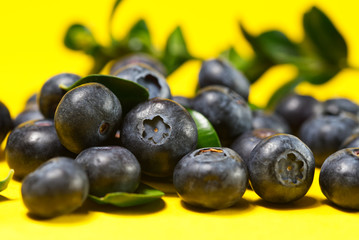 blueberries on a yellow background