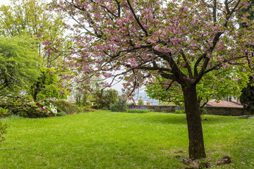 Fototapeta na wymiar Bergamo, Italy - Villa Moroni italian garden details during spring