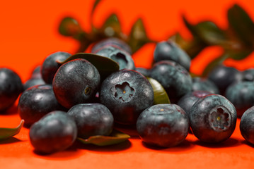 blueberries and raspberries