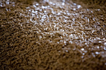 Usine pour la fabrication de granule pour les poeles a bois