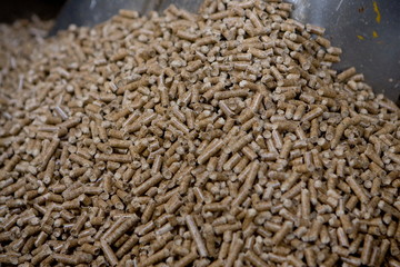 Usine pour la fabrication de granule pour les poeles a bois