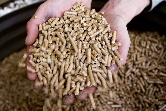 Usine pour la fabrication de granule pour les poeles a bois